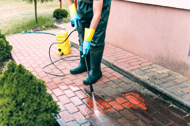 Best Affordable Power Washing  in Bushnell, IL