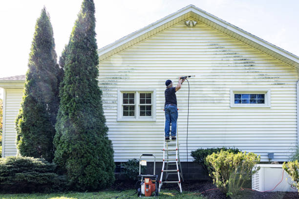 Best Residential Pressure Washing Services  in Bushnell, IL