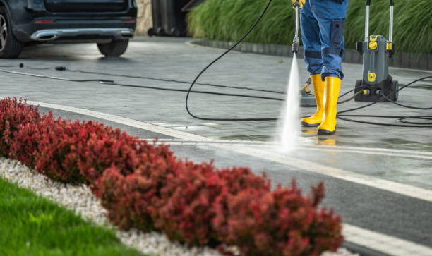 Best Best Pressure Washing Companies  in Bushnell, IL