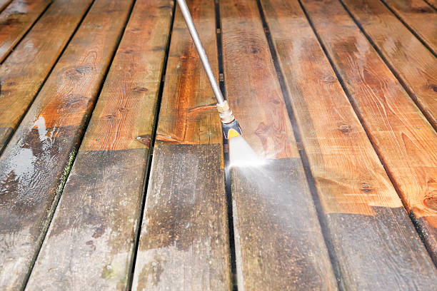 Best Affordable Pressure Washing  in Bushnell, IL